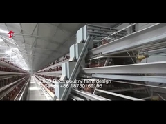 อุปกรณ์กรงไก่อัตโนมัติเต็มรูปแบบสำหรับฟาร์มสัตว์ปีกความจุ 20,000 ตัว Sandy