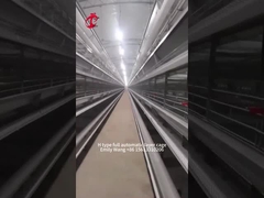 H Type Modern 25,000 Birds อุปกรณ์กรงไก่อัตโนมัติ Emily