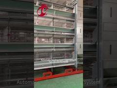 อุปกรณ์ฟาร์มสัตว์ปีก กรงไก่ 4 ชั้น 2.40m * 2.60m * 2.0m Rose