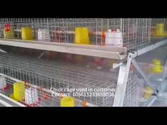 Hot Galvanized Automatic Pullet Baby Chick Brooder Cage 192 Birds ความยาว 1.2m Mia