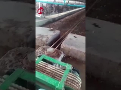 ฟาร์มไก่ 5,000 ตัว ใช้เครื่องกำจัดมูลสัตว์ Mia