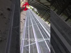 เซมี่อัตโนมัติไก่ชั้นกรง 15000 นกมือไก่กรงในไนจีเรีย