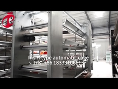 ระบบกรงเลี้ยงไก่ไก่แบบ H แบบอัตโนมัติในแอฟริกาตลาด Iris