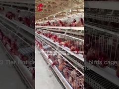 การเกษตรชั้นใช้ 2 ชั้น แบตเตอรี่กรง บ้านไก่ หมักร้อน ทรายเหล็กกระปุก