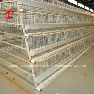 4 Tiers A Type Layer Cage System ดื่มและให้อาหารอัตโนมัติ Adela