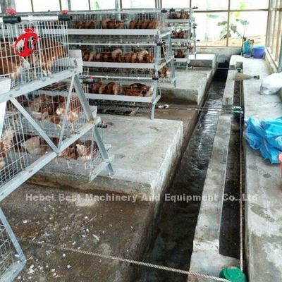 เครื่องขูดมูลไก่อัตโนมัติสามเฟสลบขยะไก่ Sandy
