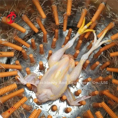 เครื่องกำจัดขนไก่อัตโนมัติ 180 นกต่อชั่วโมงและ 500 นกต่อชั่วโมง