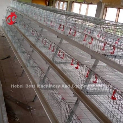 กรงไก่เนื้อชนิด H ความยืดหยุ่นสูง Adela . เหล็กกล้าคาร์บอนต่ำชุบสังกะสีร้อน