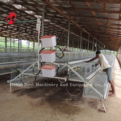 CE A Type 120 นกกรงเลี้ยงไก่กับนักดื่มและ Feeders Star