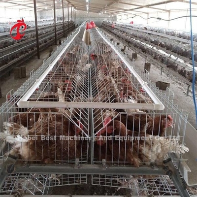 กรงเลี้ยงไก่ฟาร์มอุปกรณ์เพาะพันธุ์ไก่ไข่ Sandy