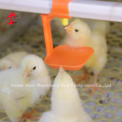 Baby Chick 2.5mm Brooder Cage ระบบการเลี้ยงอัตโนมัติ Rose