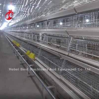 สังกะสี 120 ความจุ Brooder ไก่กรงเลี้ยงวัน Old Layer Chicks Iris