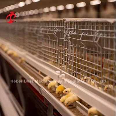 สังกะสี 120 ความจุ Brooder ไก่กรงเลี้ยงวัน Old Layer Chicks Iris
