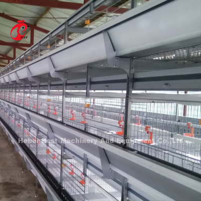 กรงสัตว์ปีกแบบอัตโนมัติการเลี้ยงไก่ Prefab House Complete Solutions Rose
