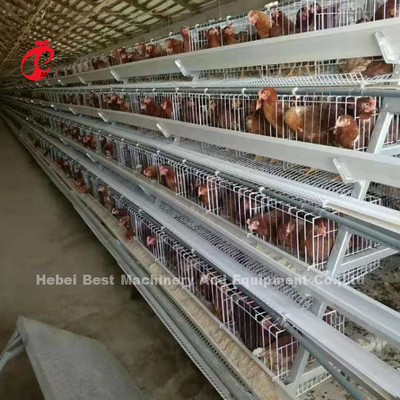 ระบบกรงแบตเตอรี่กึ่งอัตโนมัติ 3.5 มม. อุปกรณ์การเลี้ยงสัตว์ปีกAda
