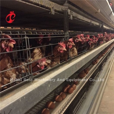 ระบบกรงแบตเตอรี่สําหรับไก่ไก่ไก่เนื้อสัตว์ Ada