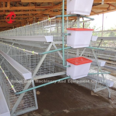 Deluxe 120 Birds Poultry Battery Cage System 5 เซลล์สังกะสี Doris