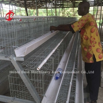 Deluxe 120 Birds Poultry Battery Cage System 5 เซลล์สังกะสี Doris