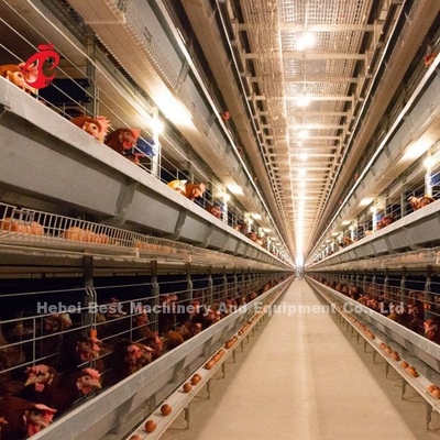 A H Type Full Automatic Poultry Farming Battery Cage System ดาว