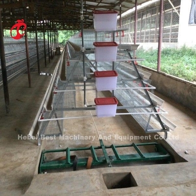 2ระบบกรงแบตเตอรี่ชั้น 2 เมตร สําหรับความจุ 120-200 ไก่