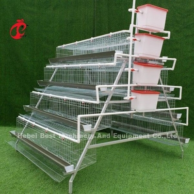 ขายดีที่สุด A ประเภท 4 ระดับ Hot Galvanized อัตโนมัติไก่ แบตเตอรี่กรง สําหรับขาย Adela