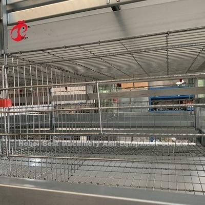 อุปกรณ์กรงไก่อัตโนมัติอายุการใช้งาน 20 ปีสำหรับ 20,000 ชั้น Adela