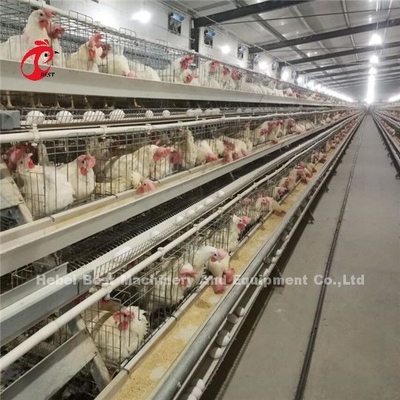 ระบบการควบคุมไฟฟ้าอัตโนมัติ ไก่ชั้นกรง ระดับ 4 การออกแบบฟาร์ม Ada