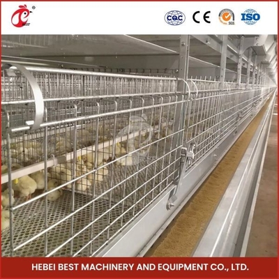กรงไก่เนื้อสมัยใหม่อายุการใช้งานยาวนานแบบอัตโนมัติ H Type Day Old Chick Pullet Cage ความจุสูง Adela