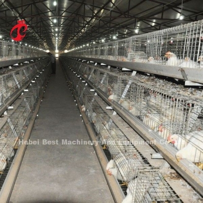 ระบบกรงไก่ไก่ชนิด A หรือ H ที่มั่นคง