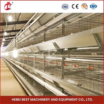 Hot Galvanized Automatic Pullet Baby Chick Brooder Cage 192 Birds ความยาว 1.2m Mia
