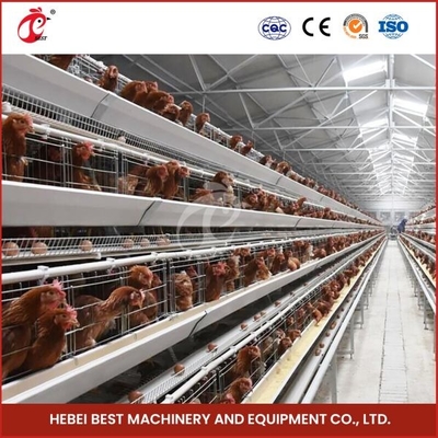 อุปกรณ์กรงไก่อัตโนมัติ A Frame 4 Tier Layer Cage System Doris Shi