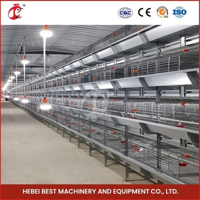 H Type Layer และ Broiler Automatic Battery Chicken Cage Equipment การออกแบบบ้าน Ada