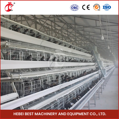 Hot Galvanized Automatic 160 Chickens A Type Layer Cage Adela
