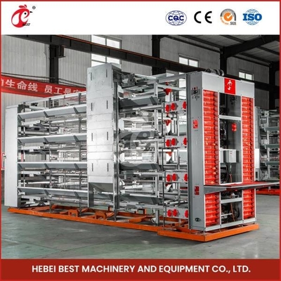 380V 5 ชั้น อัตโนมัติ ไก่ชั้นอุปกรณ์กรงสําหรับการวางไข่ Ada