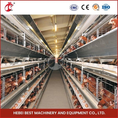 H Type 30000 Birds กรงไก่ไข่อัตโนมัติพร้อมสายพานมูลสัตว์ Ada