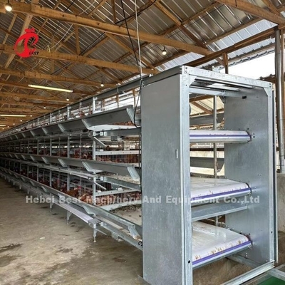 กรงแบตเตอรี่ไก่ไก่ชั้นอัตโนมัติ 160 ชั้นสำหรับฟาร์มสัตว์ปีกเอมิลี่