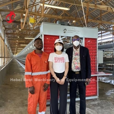 สัตว์ปีกเรียงซ้อน 128 นกแบตเตอรี่ประเภทกรงเพาะพันธุ์เอมิลี่