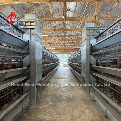 110kg ความจุไก่ชั้นกรงกับเครื่องดื่มนมอัตโนมัติสําหรับบ้านไก่ Doris