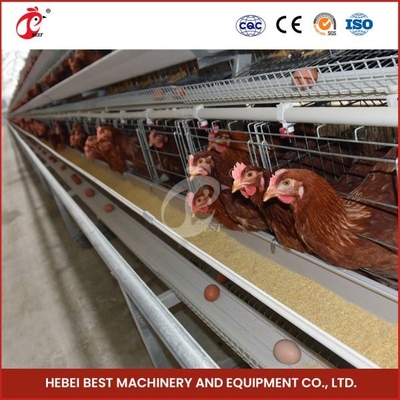 กรงฟาร์มสัตว์ปีกไก่ไข่ 120 กรง ไอริสชุบสังกะสีแบบลึกและไอริสแบบเย็น
