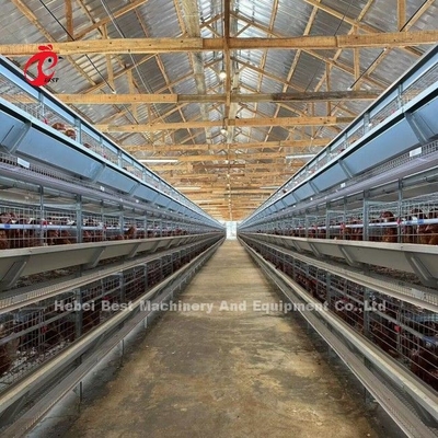 กรงแบตเตอรี่สำหรับสัตว์ปีกความจุ 120 ตัวอัตโนมัติ A หรือ H Layer Farm Doris