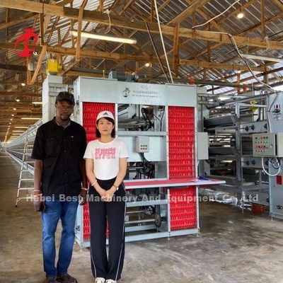 กรงเลี้ยงไก่กระดาษไฟฟ้าที่มีระบบอาหารและน้ําอัตโนมัติ Doris