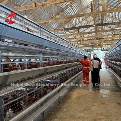 เต็มอัตโนมัติ H ประเภทไก่ไก่กรงสําหรับ 500 ถึง 50000 ไก่ฟาร์มในแอฟริกา Doris