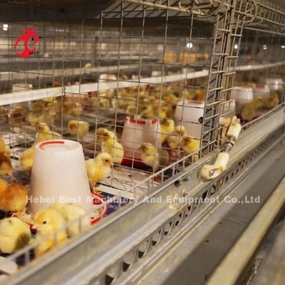 การทําความสะอาดด้วยมือ อัตโนมัติ Chick Brooder กรง H ประเภทโลหะสําหรับไก่ Adela