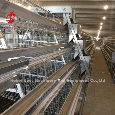 3/4/5 ระบบเตอรี่กรงชั้นสําหรับอัตโนมัติชั้น ไก่ ไก่ฟาร์ม Iris