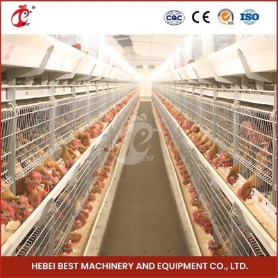 ประหยัดพื้นที่ ระบบกรงไก่ไก่ชนิดอัตโนมัติ สําหรับไก่ 120-200 ตัว