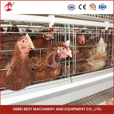 120 ไก่ Wire Mesh กรงกับน้ําดื่มนมและกรงความจุของ 120 ดาว