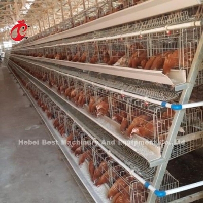 ระบบการควบคุมไฟฟ้าอัตโนมัติ ไก่ชั้นกรง ระดับ 4 การออกแบบฟาร์ม Ada