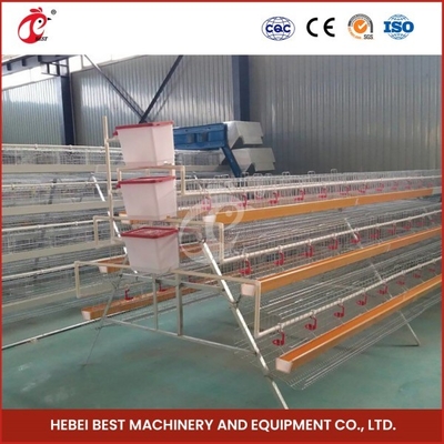 Q235 เกรดเหล็ก สาย Wire Layer ระบบกรงการเกษตรที่มีนมและนมที่มีถ้วย ดาว