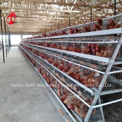 ระบบกรงเลี้ยงไก่ครบวงจร พร้อมเครื่องดื่มนมอัตโนมัติและเครื่องมือติดตั้ง