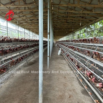 แบรนด์ที่ดีที่สุด ที่น่าเชื่อถือ การเลี้ยงไก่ ระบบกรงการจัดการไก่ Iris